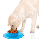 Comedouro Antiderrapante para Animais de Estimação
