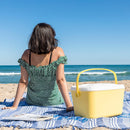 **Geleira Portátil Rígida Lilty InnovaGoods 15 L**